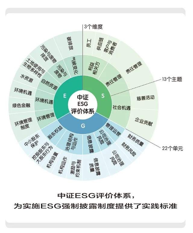 如何在网络信息教育中实施自我评估
