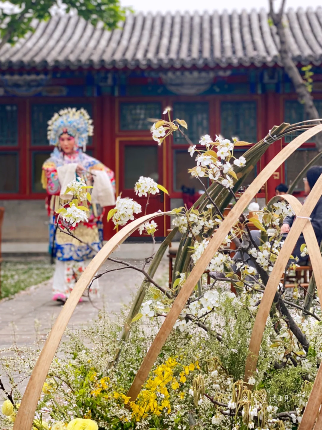 助兴仪式!我与队友白痴放风筝 助兴仪式!我与队友白痴放风筝