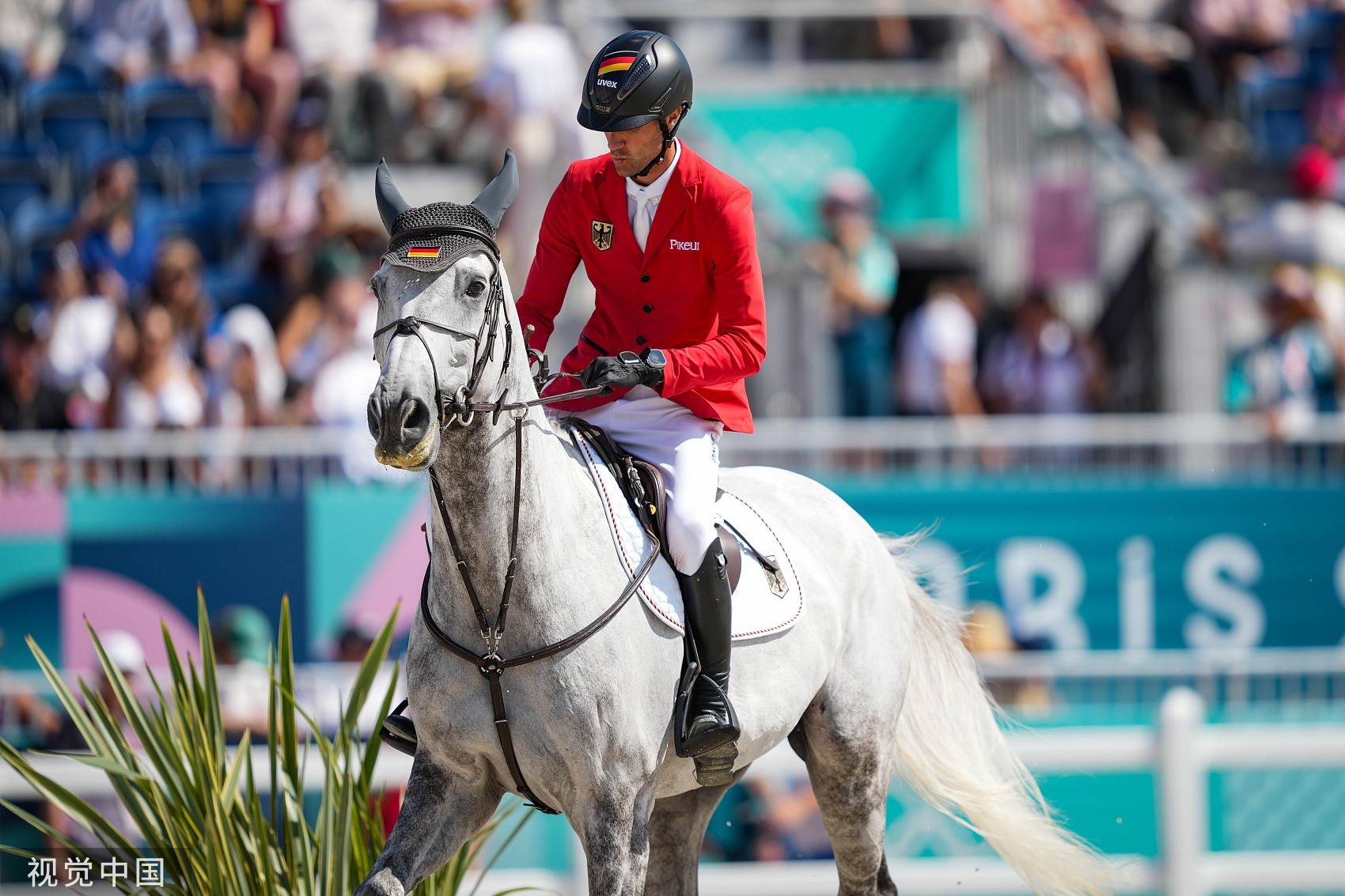 新西兰选手获得马术比赛金牌 新西兰选手获得马术比赛金牌